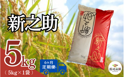 【令和6年産新米先行予約】〈6回定期便〉渡辺農園の新之助5kg (5kg×1袋) 新潟県 五泉市 渡辺農園 [10月中旬以降順次発送] 1451367 - 新潟県五泉市