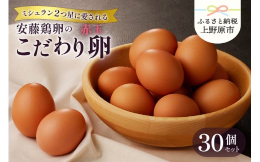 【山梨県産 卵】ミシュランも選ぶ高級卵セット（赤玉 30個） 1453262 - 山梨県上野原市