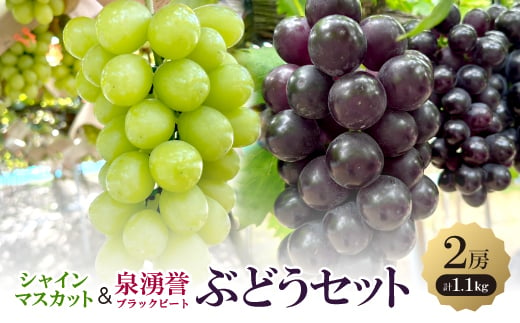 シャインマスカットと泉湧誉-ブラックビート-の2房セット【1502989】｜ふるラボ