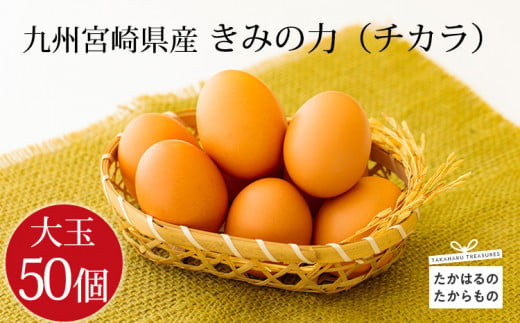 宮崎県産の新鮮たまご『きみの力(チカラ)』お試し50個Lサイズの赤卵 ミネラルたっぷりのカキガラや上質な飼料ですくすく育った鶏の卵は甘くておいしい逸品[赤たまご 赤玉子 大容量 大玉 8000円 8千円] TF00793-P00035