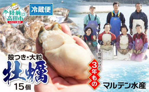 【1月後半発送】殻付き牡蠣15個（生食用）「3年育成した大粒」【 天然 牡蠣 かき 殻付き 生食 大粒 人気 国産 真牡蠣 三陸産 広田湾産 マルテン水産 】  1460757 - 岩手県陸前高田市