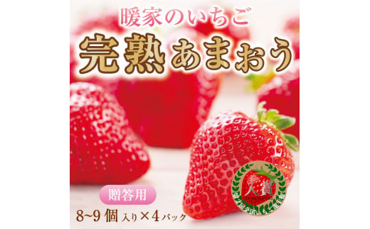 暖家のいちご 完熟あまおう 贈答用4パック [a9405] 社会福祉法人猪位金福祉会 暖家の丘 ※配送不可：北海道・沖縄・離島【返礼品】添田町 ふるさと納税 1046992 - 福岡県添田町