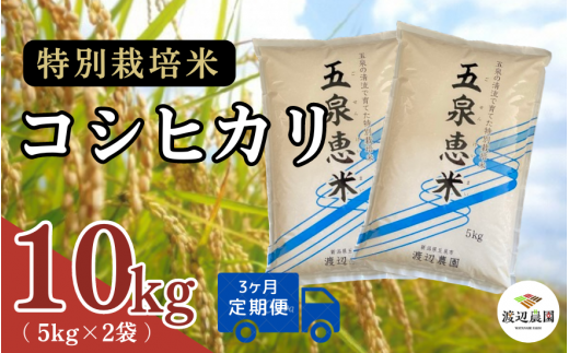 【令和6年産新米】 〈3回定期便〉渡辺農園の特別栽培米コシヒカリ 10kg(5kg×2袋) 新潟県 五泉市 渡辺農園 [9月下旬以降順次発送] 1451360 - 新潟県五泉市