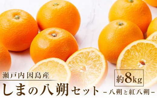 【先行予約】しまの八朔セット約8kg（Mサイズ程度　約30個　紅八朔と八朔）＜2025年1月下旬から発送＞ 1210570 - 広島県尾道市