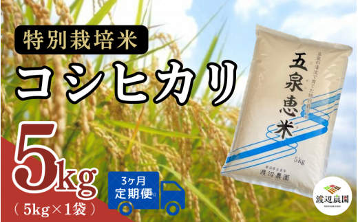 【令和6年産新米先行予約】 〈3回定期便〉渡辺農園の特別栽培米コシヒカリ 精米 5kg(5kg×1袋) 新潟県 五泉市 渡辺農園 [9月下旬以降順次発送] 1451371 - 新潟県五泉市