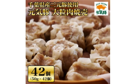 ＜千葉県産三元豚＞元気豚 大粒肉焼売(シューマイ)セット　2.1kg(50g×42個)【1032621】