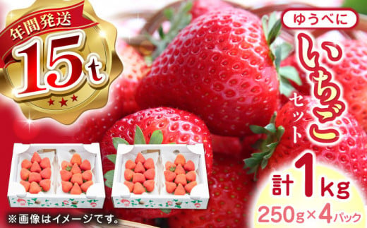 【2024年12月〜順次発送】熊本県産 ゆうべに いちご 計1kg ( 250g × 4P )  農園直送 産地直送 熊本県産 山都町産 イチゴ 苺 ストロベリー フルーツ 果物 【なかはた農園】[YBI029]  1092675 - 熊本県山都町