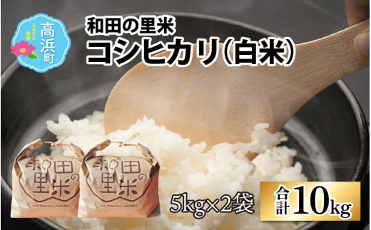 【先行予約】【令和6年産 新米】和田の里米 コシヒカリ 白米10kg (5kg×2袋)【2024年10月より順次発送】