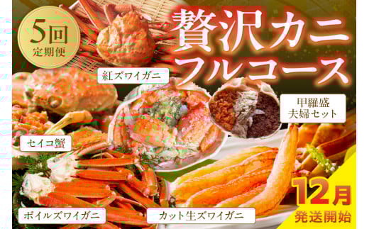 店主厳選！おすすめ贅沢カニフルコース（セイコ蟹3杯・カット生ズワイガニ4肩・ボイルズワイガニ4肩・ベニズワイ蟹2杯・甲羅盛夫婦セット）　YK00241