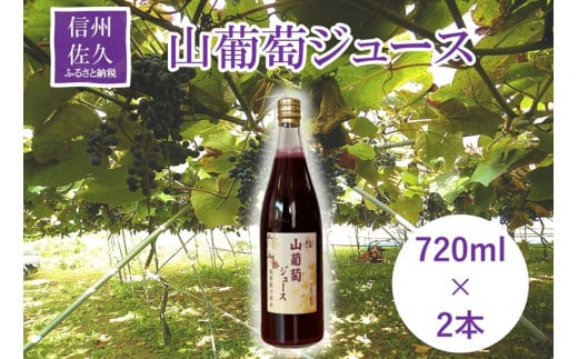 【先行予約:2025年3月以降発送予定】山葡萄ジュース2本セット ぶどう 無添加 無加糖 ポリフェノール 【 ぶどう 山葡萄 ジュース 2本セット 貴重な山葡萄を完熟 無添加 無加糖 炭酸 焼酎 で割るのもオススメ 長野県 佐久市 】