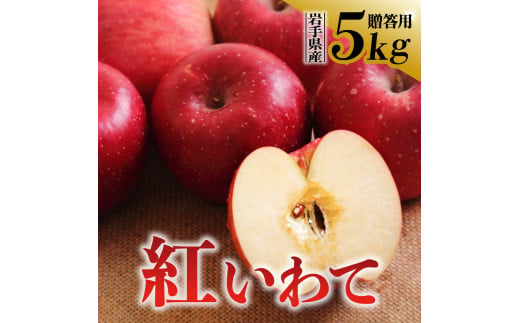 【先行予約】令和6年産 りんご 紅いわて 贈答用 5kg 岩手県 金ケ崎町産 9月下旬発送予定 1450056 - 岩手県金ケ崎町