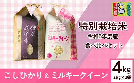 特別栽培米 R6年度産 栽培期間中 農薬化学 肥料不使用 R6年度産 コシヒカリ/ミルキークイーン 各2㎏つづ 食べ比べセット| 4kg 食べ比べ 新米 おいしい お米 特別 栽培 米 無農薬 化学肥料不使用 新米 2024年 R6年度産 白米 精米 埼玉県 東松山市