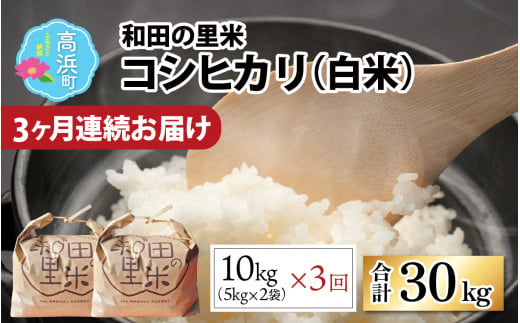 【令和6年産 新米】【3ヶ月定期便】和田の里米 コシヒカリ 白米10kg (5kg×2袋)×3回 計30kg