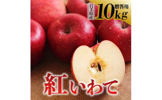 【先行予約】令和6年産 りんご 紅いわて 贈答用 10kg 岩手県 金ケ崎町産 9月下旬発送予定 1450057 - 岩手県金ケ崎町