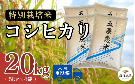 【令和6年産新米先行予約】 〈3回定期便〉渡辺農園の特別栽培米コシヒカリ 20kg(5kg×4袋) 新潟県 五泉市 渡辺農園 [9月下旬以降順次発送] 1451363 - 新潟県五泉市