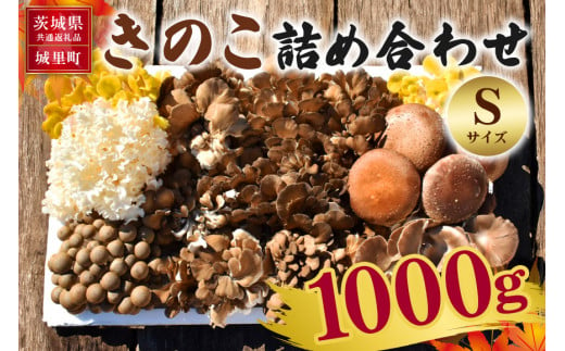 きのこの詰め合わせ Sサイズ 1Kg 茨城県共通返礼品 城里町産 舞茸 椎茸 あわび茸 たもぎ茸 はなびら茸 完全室内栽培 栽培期間中農薬不使用 安心 安全 栄養豊富 こだわりのキノコ詰め合わせ 直送 新鮮 旬 おすすめ セット 贈り物 869200 - 茨城県那珂市