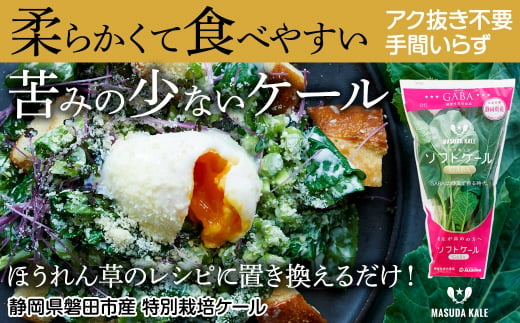 ＜毎月定期便＞やわらかくて食べやすい苦みの少ないケール＜静岡県磐田市産 特別栽培＞全12回【4003773】