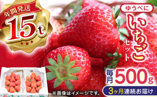 【先行予約】【全3回定期便】熊本県産 ゆうべに いちご  セット 250g×2P 農園直送 産地直送 山都町産【なかはた農園】[YBI045]  1092691 - 熊本県山都町