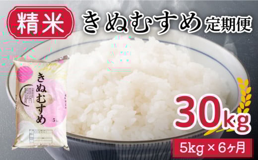 【 定期便 6ヶ月 】新米 きぬむすめ 5kg × 6ヶ月 計 30kg 精米 大容量 米 お届け回数6回 お米 定期便お届け 白米 直前精米 精米したて 豊田町 下関 山口 891065 - 山口県下関市