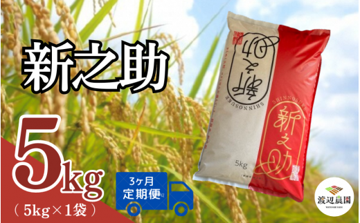 【令和6年産新米先行予約】〈3回定期便〉渡辺農園の新之助5kg (5kg×1袋) 新潟県 五泉市 渡辺農園 [10月中旬以降順次発送] 1451366 - 新潟県五泉市