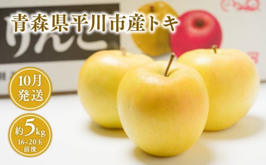 10月 青森県産 トキ 約5kg [青森県 平川市 JA津軽みらい]10月発送 青森 青森県産 平川 りんご リンゴ 林檎 くだもの 果物 フルーツ