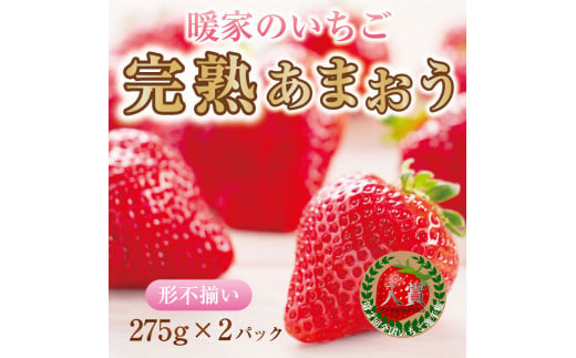 暖家のいちご 完熟あまおう 2パック(形不揃い) [a0549] 社会福祉法人猪位金福祉会 暖家の丘 ※配送不可：北海道・沖縄・離島【返礼品】添田町 ふるさと納税 1439336 - 福岡県添田町