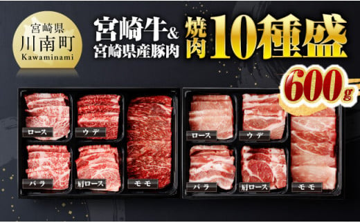 宮崎牛 ＆ 宮崎県産 豚肉 焼肉 10種 【 肉 牛 牛肉 豚肉 豚 ぶた肉 国産 黒毛和牛 宮崎牛 BBQ 焼肉 ロース カタロース バラ モモ ウデ 】