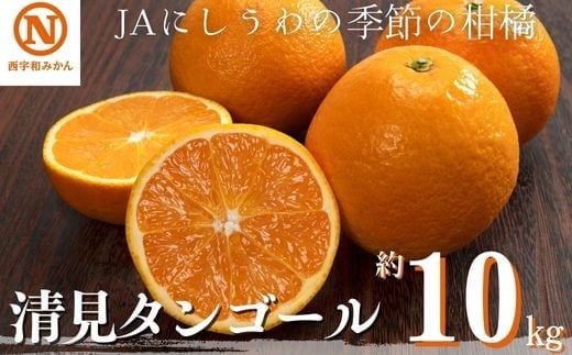 JAにしうわの季節の柑橘(清見タンゴール 約10kg)＜F08-10＞【1474254】 466508 - 愛媛県八幡浜市