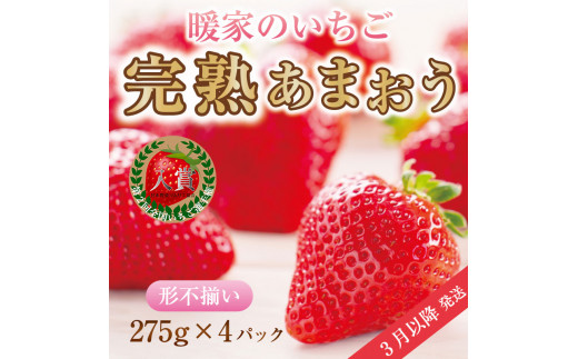 暖家のいちご 完熟あまおう 4パック(形不揃い) 3月以降発送 [a9408] 社会福祉法人猪位金福祉会 暖家の丘 ※配送不可：北海道・沖縄・離島【返礼品】添田町 ふるさと納税 1046995 - 福岡県添田町