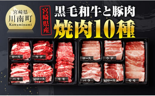 宮崎県産 黒毛和牛 と 豚肉 焼肉 10種 【 肉 牛 牛肉 豚肉 豚 ぶた肉 国産 黒毛和牛 BBQ 焼肉 ロース カタロース バラ モモ ウデ 】