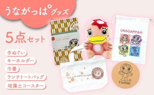 うながっぱグッズ 5点セット 14 多治見市 / 多治見市観光協会 多治見 たじみ うながっぱ [TAQ002] 1450553 - 岐阜県多治見市