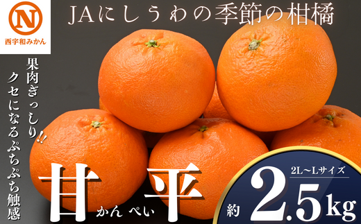 JAにしうわの季節の柑橘(甘平　約2.5kg　化粧箱)＜F08-9＞【1474277】 466507 - 愛媛県八幡浜市