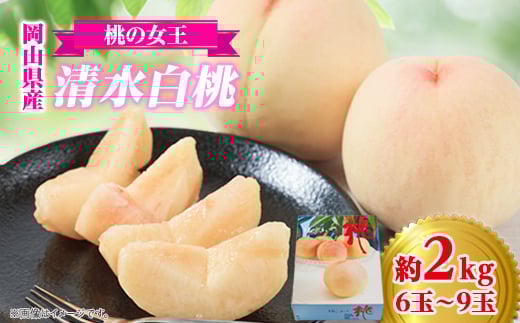 ＜桃の女王＞　美作産ブランド桃　清水白桃　2kg箱(6玉～9玉)【1112962】 777626 - 岡山県美作市