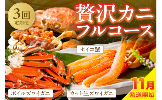 店主厳選！おすすめ贅沢カニフルコース（セイコ蟹3杯・カット生ズワイガニ4肩・ボイルズワイガニ4肩）海鮮 定期便 カニ 定期便 海鮮 頒布会　YK00238