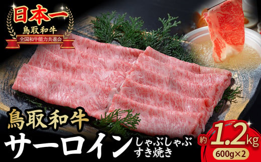 鳥取和牛 サーロイン しゃぶしゃぶすき焼き用 1.2kg ( 600g × 2 ) 鳥取和牛 サーロイン しゃぶしゃぶ すき焼き 国産 牛肉 ブランド牛 和牛 黒毛和牛 KR1310 1451478 - 鳥取県倉吉市