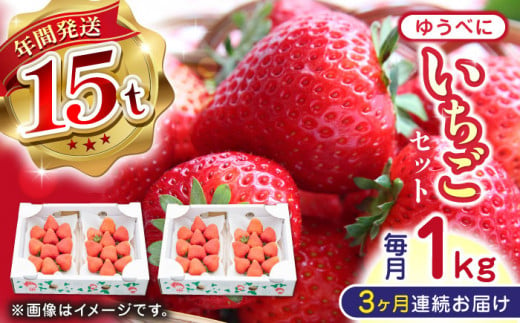 【先行予約】【全3回定期便】熊本県産 ゆうべに いちご セット 250g×4P 農園直送 産地直送 熊本県産 山都町産 いちご イチゴ 苺 ストロベリー フルーツ 果物 【なかはた農園】[YBI046]  1092692 - 熊本県山都町