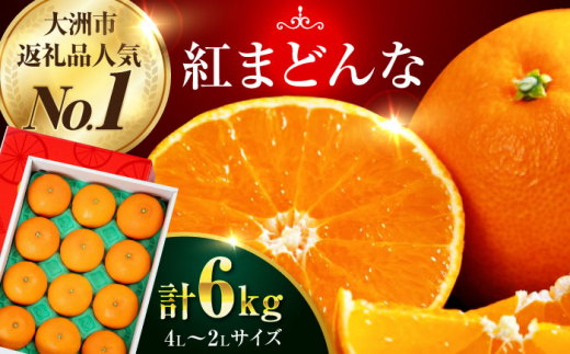 【先行予約】【11月下旬から順次発送】 愛媛県限定栽培みかん！ 紅まどんな 約6kg（4L〜2Lサイズ 8〜12玉入 計3kg×2箱）化粧箱入　みかん 6kg 紅マドンナ＼レビューキャンペーン中／愛媛県大洲市/愛媛たいき農業協同組合 [AGAO016] 1450529 - 愛媛県大洲市