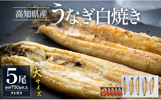 うなぎ 国産 5尾 白焼き 鰻 吉川水産 高知県産 大サイズ(150～180g)×5尾 - タレ付き 鰻 ウナギ 国産 yw-0068