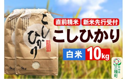 《新米先行受付》【精米】こしひかり 10kg（5kg×2袋）令和6年産 米 秋田県 三種町産