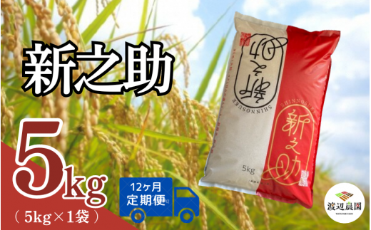 【令和6年産新米】〈12回定期便〉渡辺農園の新之助5kg (5kg×1袋) 新潟県 五泉市 渡辺農園 [10月中旬以降順次発送] 1451369 - 新潟県五泉市