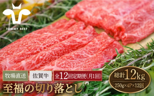 【牧場直送】【12回定期便】佐賀牛 至福の切り落とし 1kg（250g×4パック）【有限会社佐賀セントラル牧場】 [IAH096]