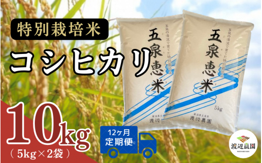 【令和6年産新米】 〈12回定期便〉渡辺農園の特別栽培米コシヒカリ 10kg(5kg×2袋) 新潟県 五泉市 渡辺農園 [9月下旬以降順次発送] 1451362 - 新潟県五泉市