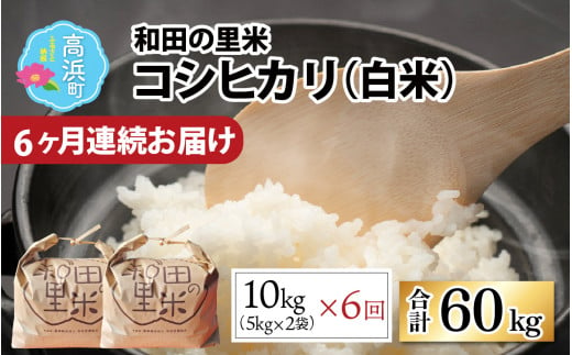 【令和6年産 新米】【6ヶ月定期便】和田の里米 コシヒカリ 白米10kg (5kg×2袋)×6回 計60kg