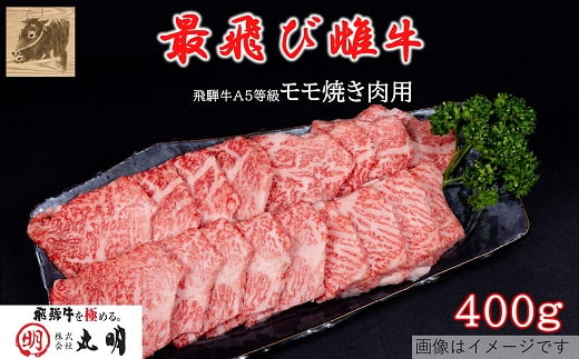 ＜最飛び雌牛＞飛騨牛A5等級モモ焼き肉用　400g【1520144】