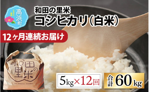 【令和6年産 新米】【12ヶ月定期便】和田の里米 コシヒカリ 白米 5kg×12回 計60kg