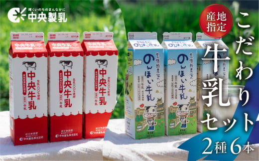 中央製乳 こだわり 牛乳セット 2種6本 1L 計6L 1457241 - 愛知県豊橋市