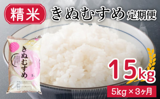 【 定期便 3ヶ月 】新米 きぬむすめ 5kg × 3ヶ月 計 15kg 精米 大容量 米 お届け回数3回 お米 定期便お届け 白米 直前精米 精米したて 豊田町 下関 山口 891066 - 山口県下関市