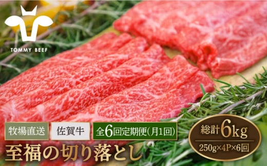 【牧場直送】【6回定期便】佐賀牛 至福の切り落とし 1kg（250g×4パック）【有限会社佐賀セントラル牧場】 [IAH095]