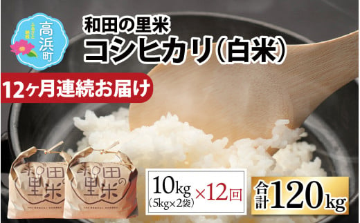 【令和6年産 新米】【12ヶ月定期便】和田の里米 コシヒカリ 白米10kg (5kg×2袋)×12回 計120kg