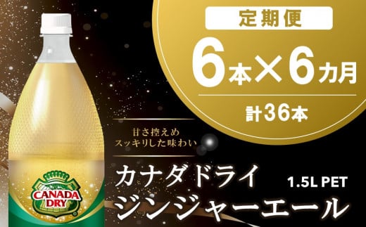 【6か月定期便】カナダドライ ジンジャーエール 1.5LPET (6本×6回)【ジンジャー 炭酸飲料 炭酸 1.5L 1.5リットル ペットボトル ペット シャンディガフ 刺激 気分爽快 イベント】C7-C090342 1453383 - 佐賀県基山町